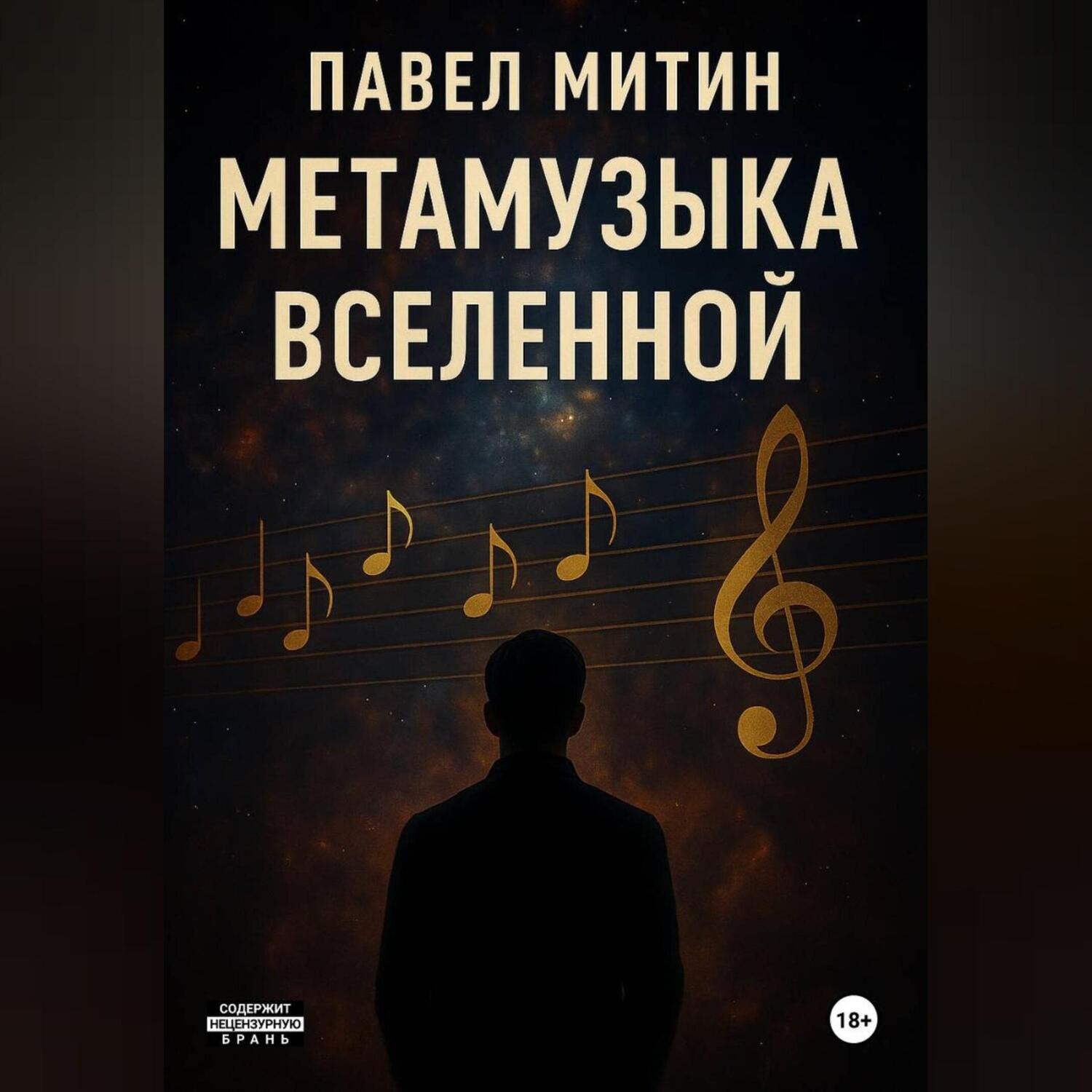 Обложка книги «Метамузыка Вселенной»