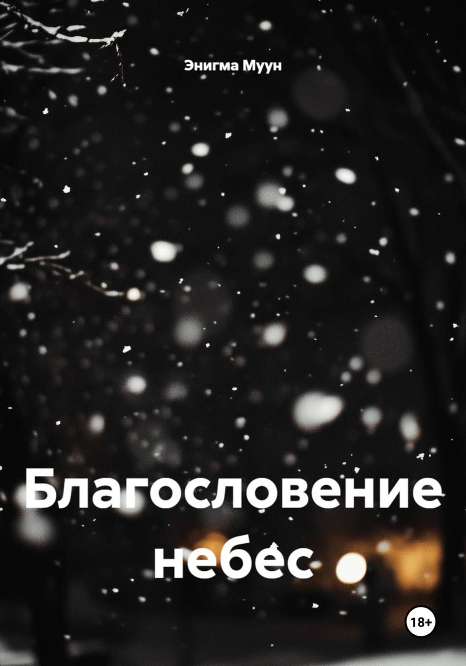 Обложка книги «Благословение небес»