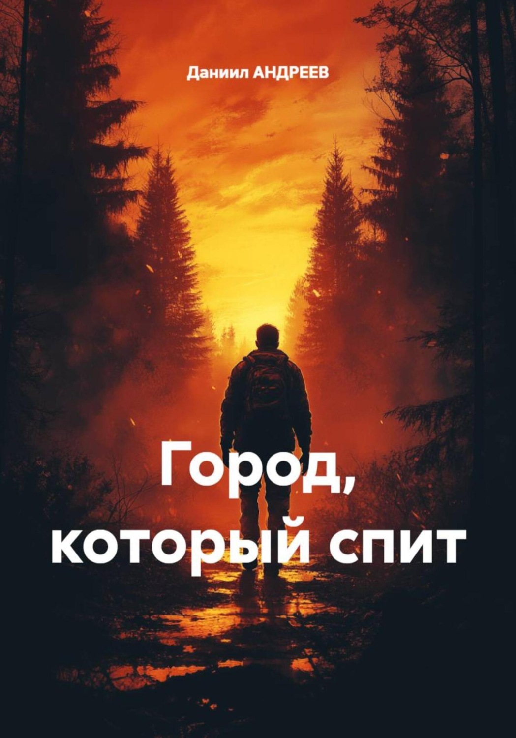 Обложка книги «Город, который спит»