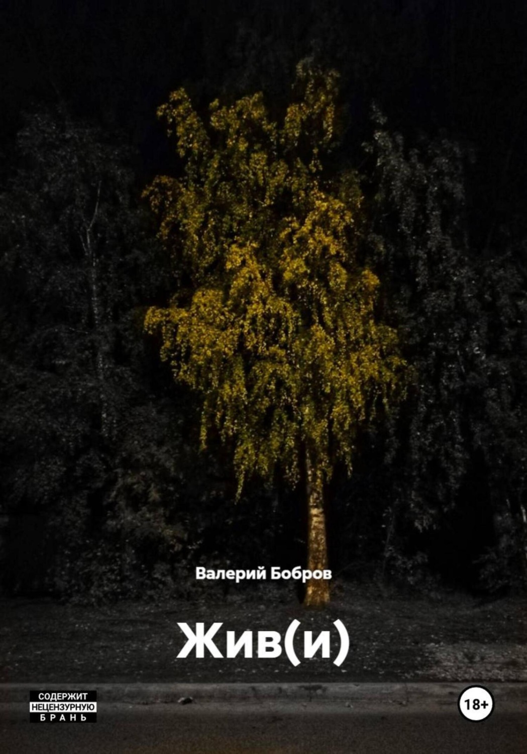 Обложка книги «Жив(и)»