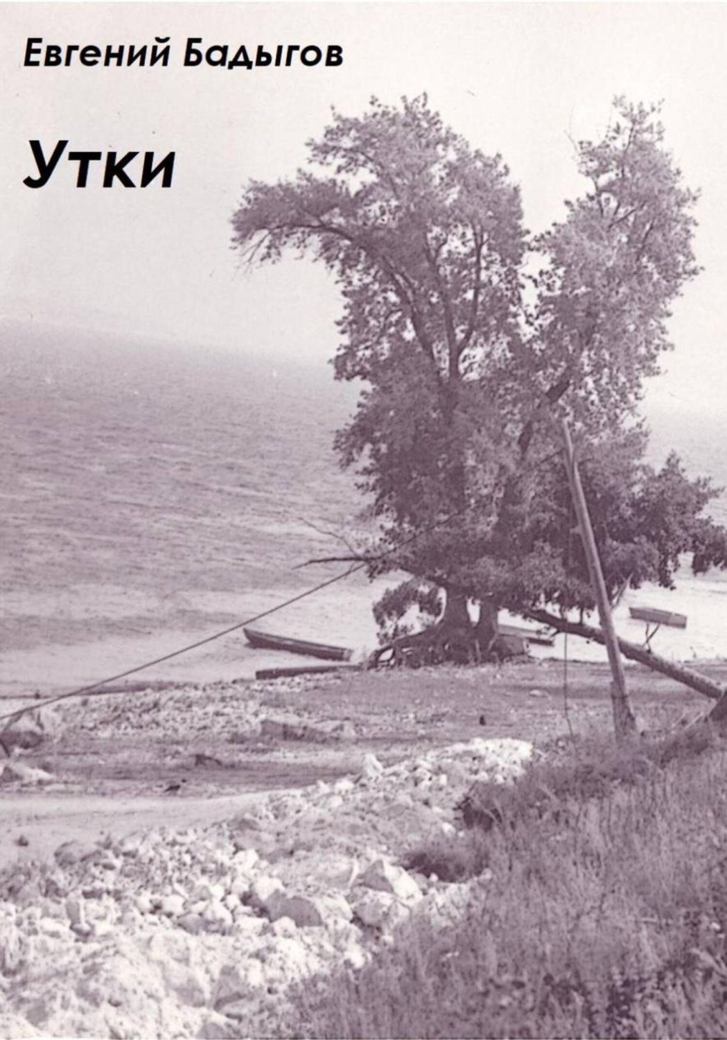 Обложка книги «Утки»