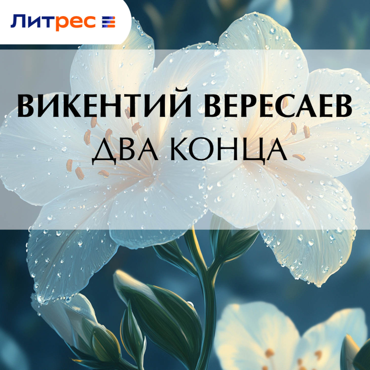 Обложка книги «Два конца»