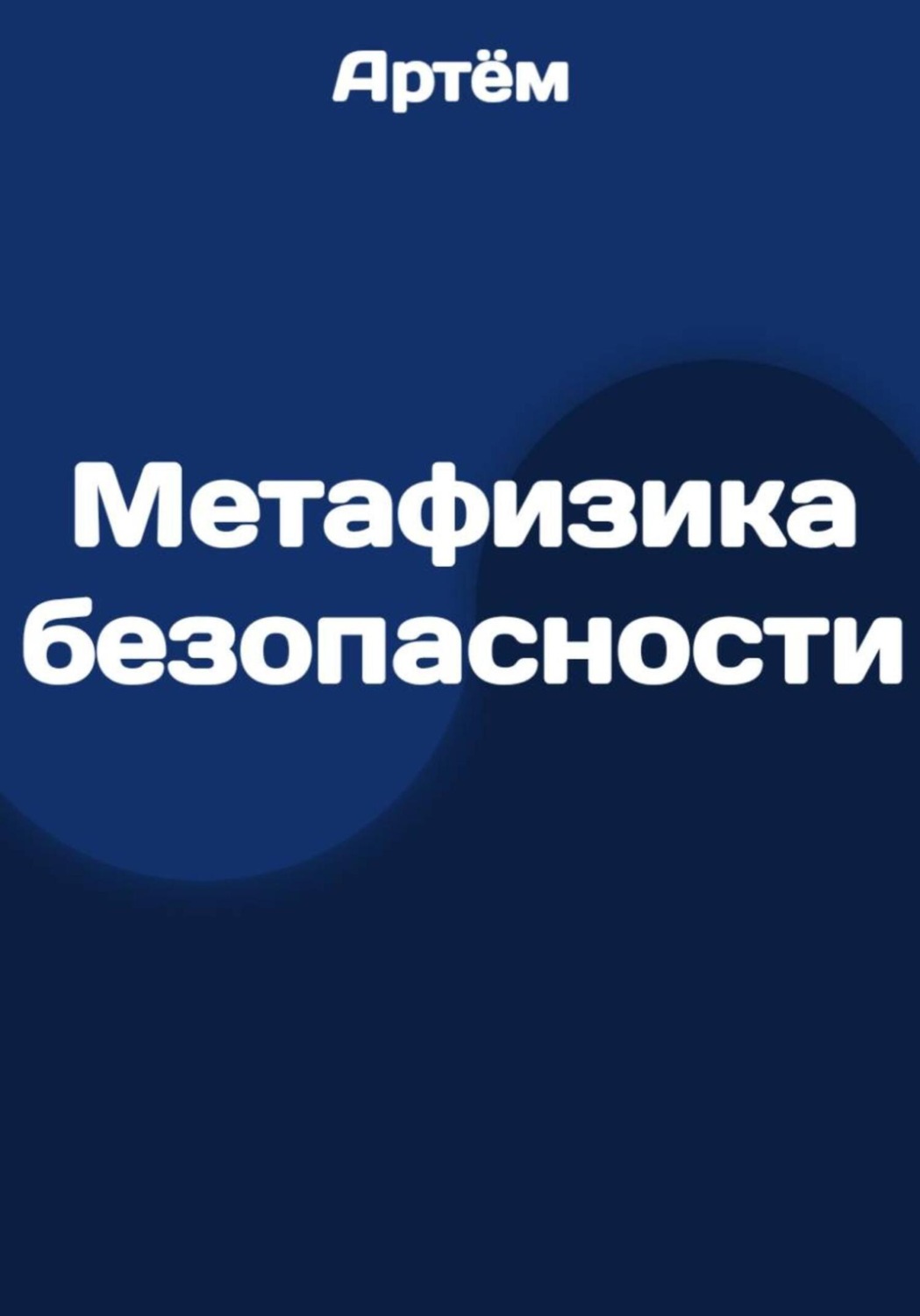 Обложка книги «Метафизика безопасности»