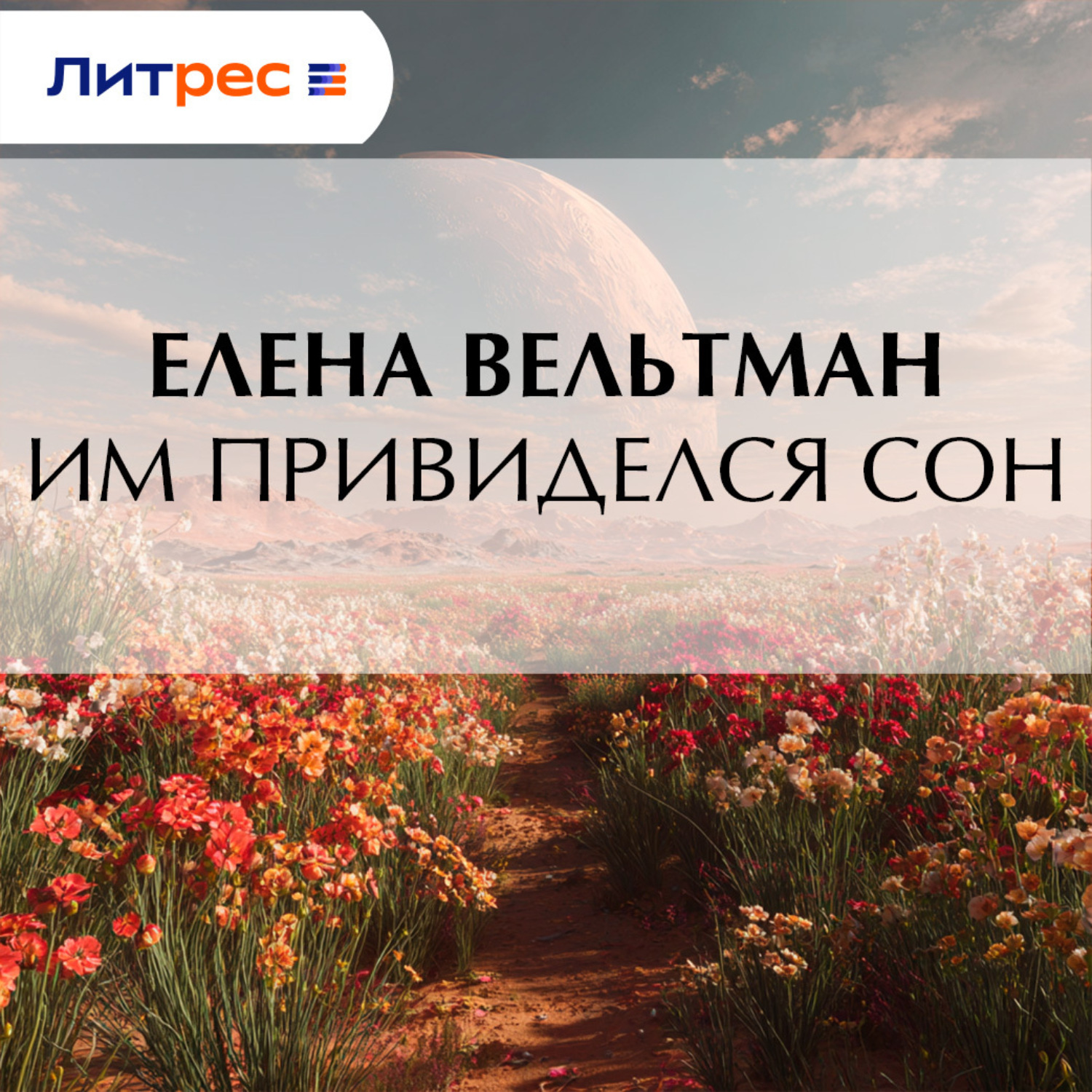 Обложка книги «Им привиделся сон»