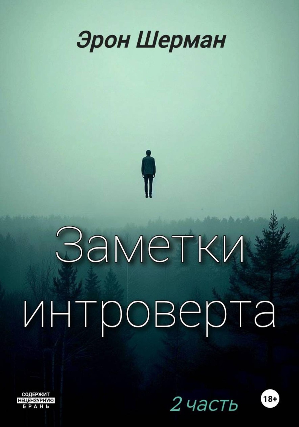Обложка книги «Заметки интроверта. 2часть»