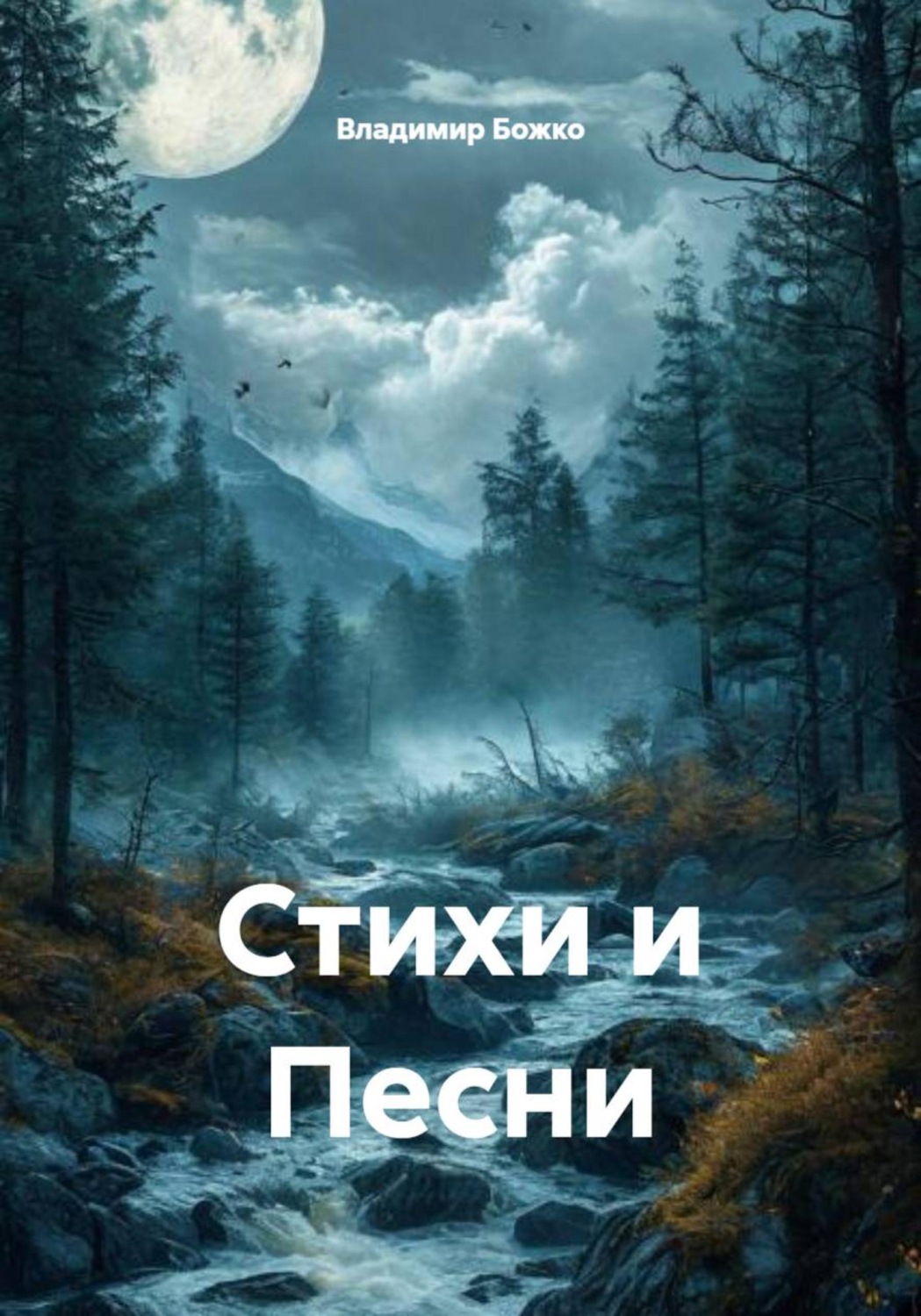 Обложка книги «Стихи и Песни»