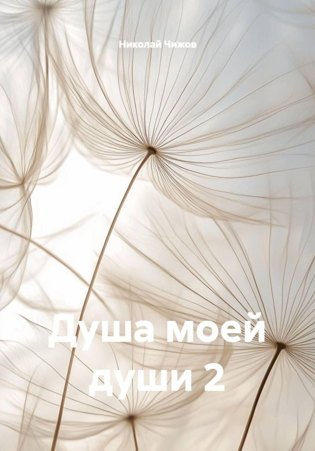 Обложка книги «Душа моей души 2»