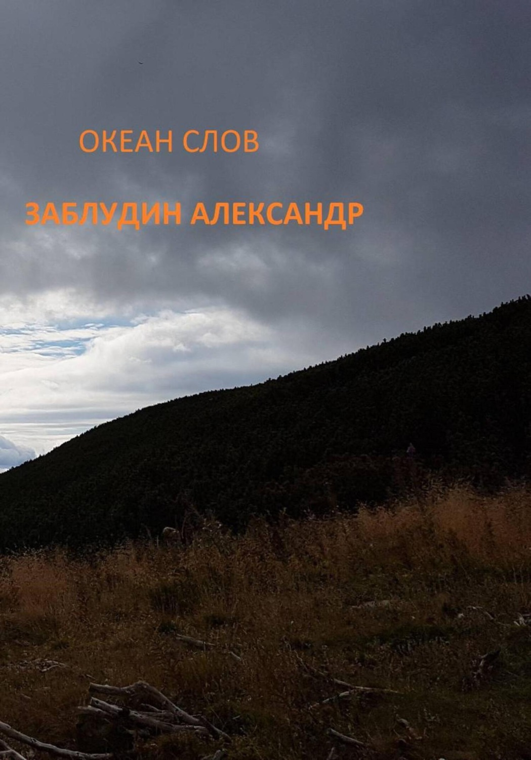 Обложка книги «Океан Слов»