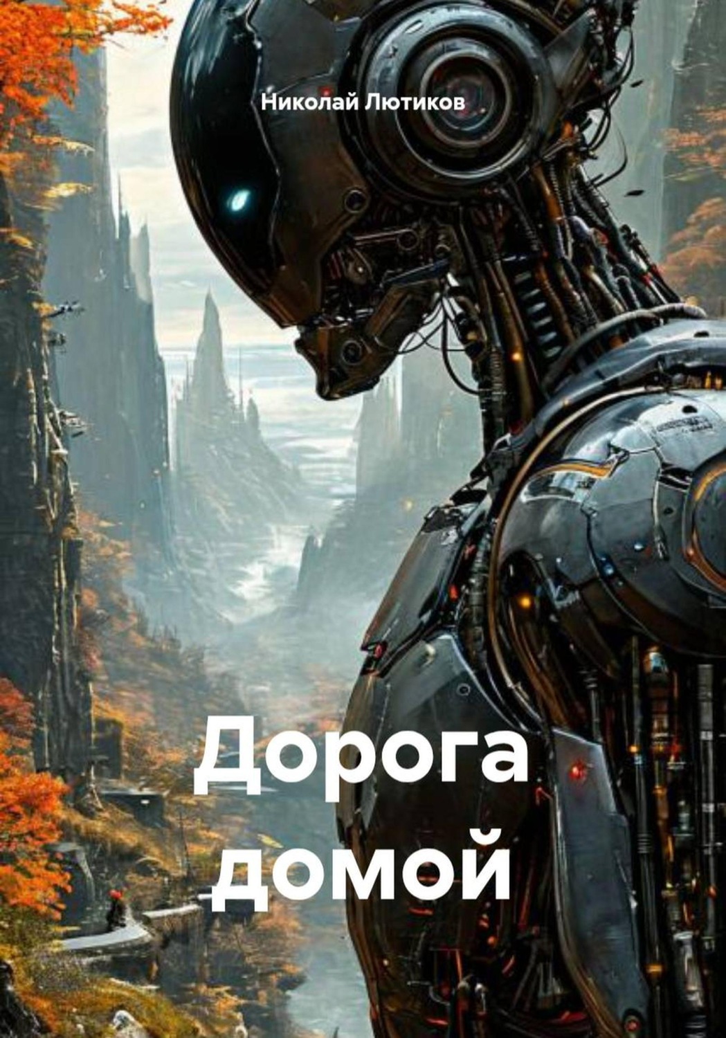 Обложка книги «Дорога домой»