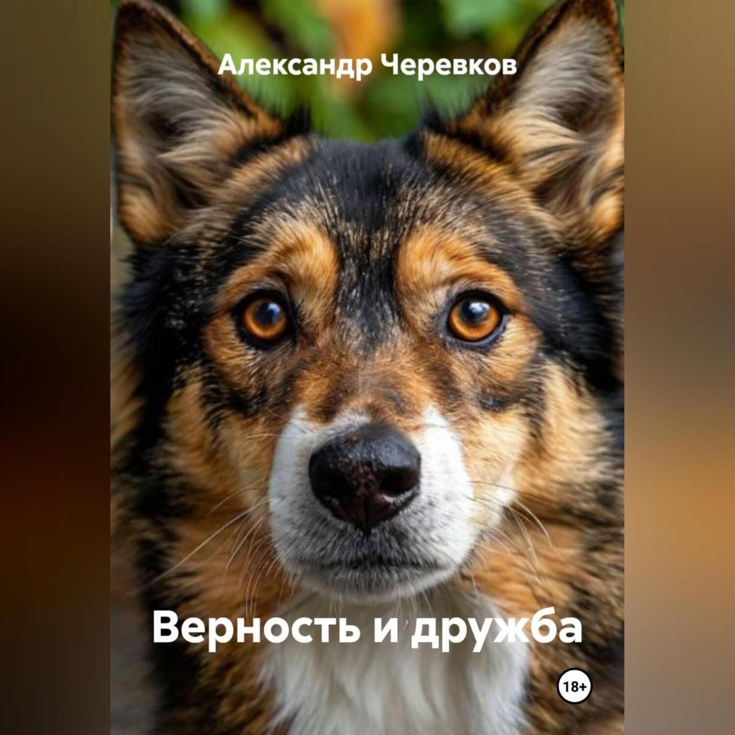 Обложка книги «Верность и дружба»