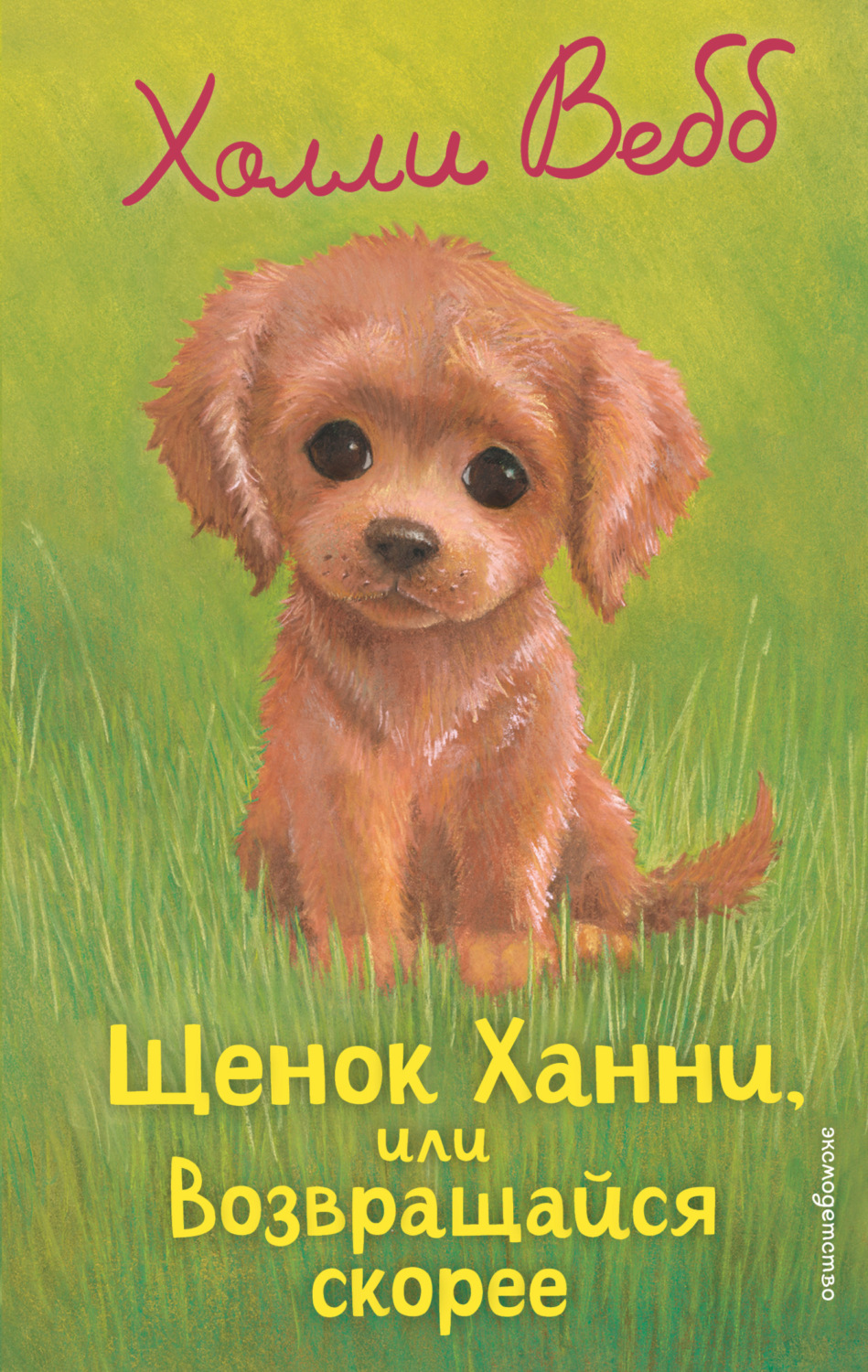 Обложка книги «Щенок Ханни, или Возвращайся скорее»