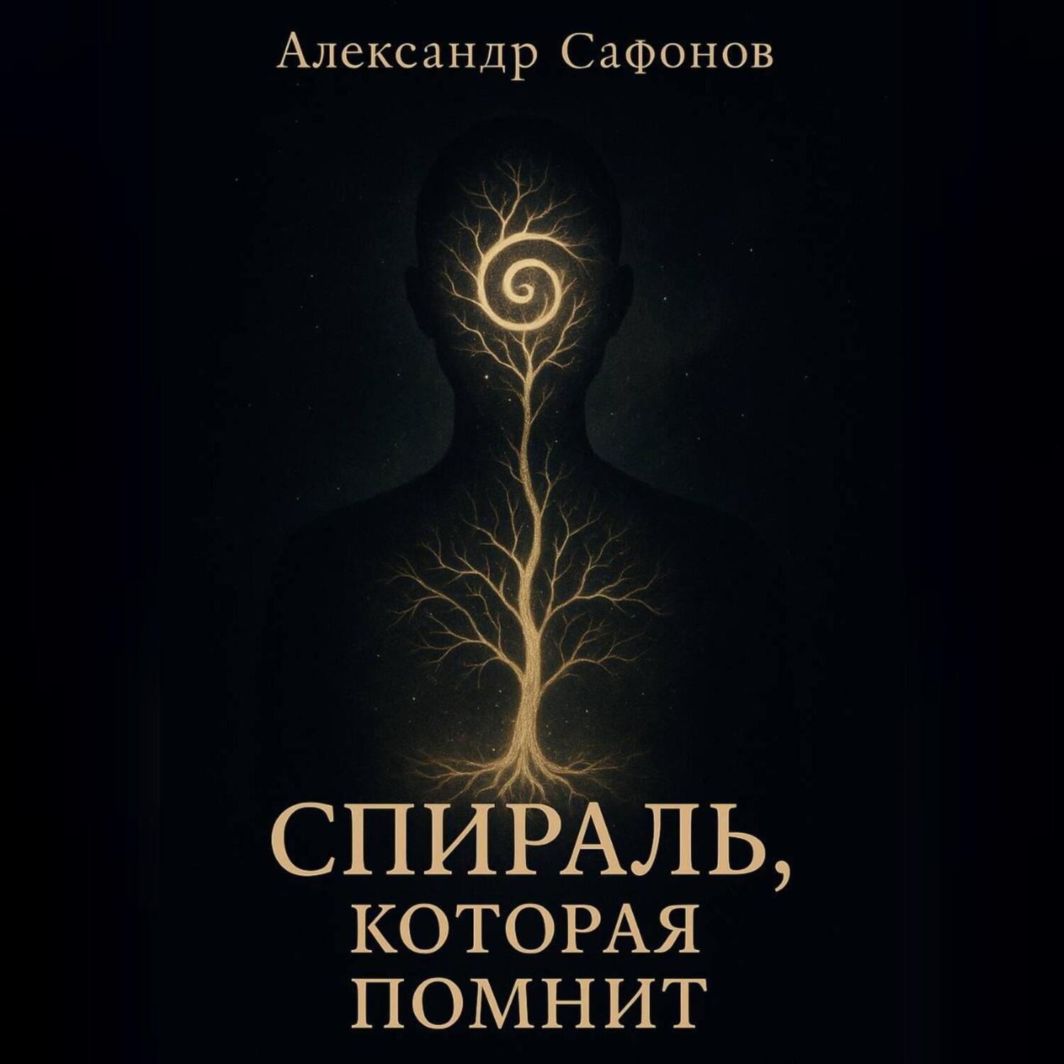 Обложка книги «Спираль, которая помнит»