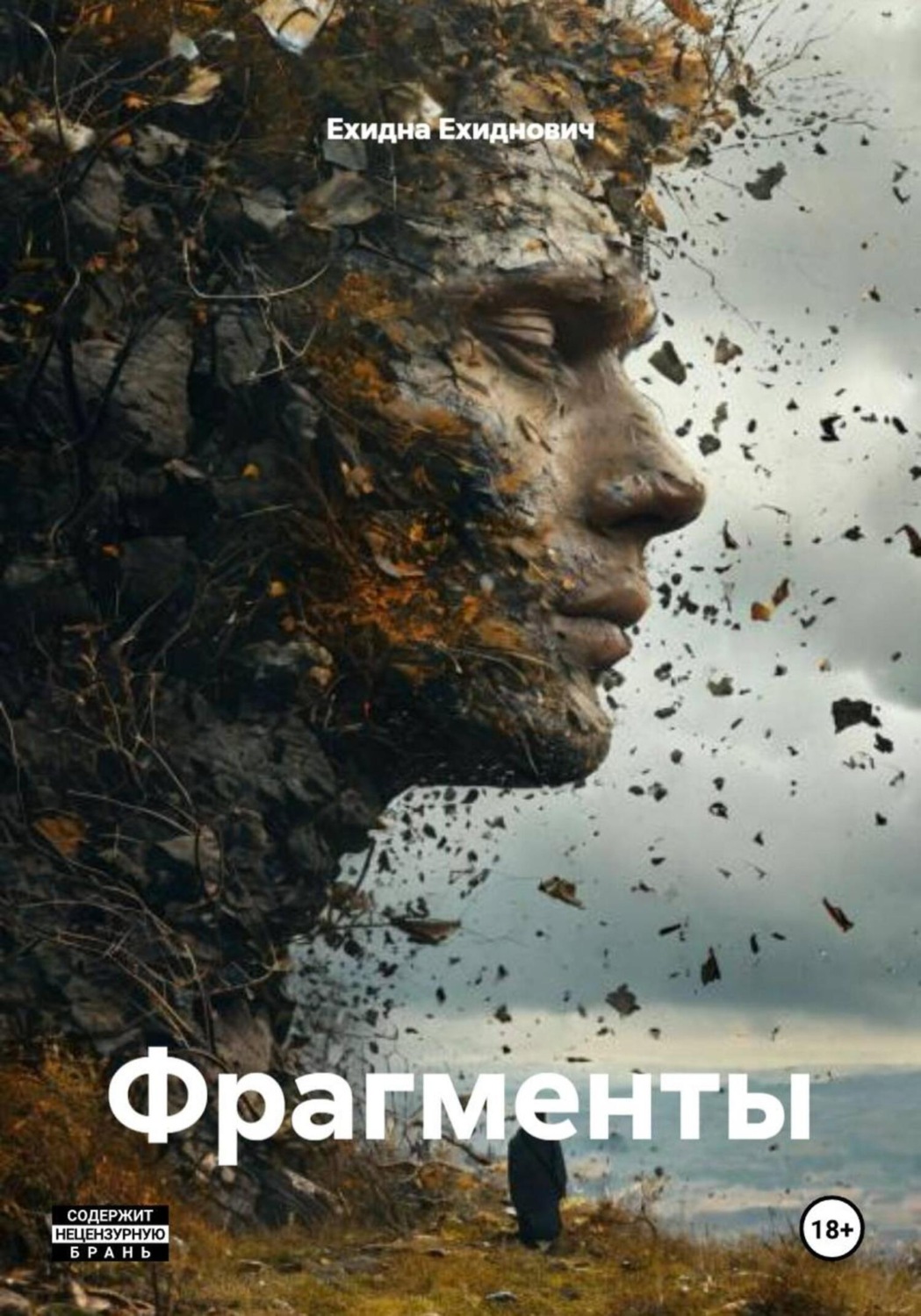 Обложка книги «Фрагменты»