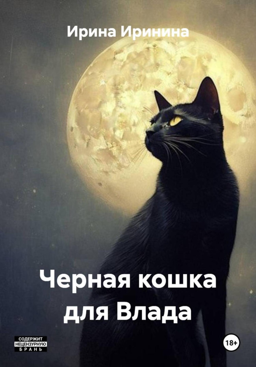 Обложка книги «Кошка для Влада»