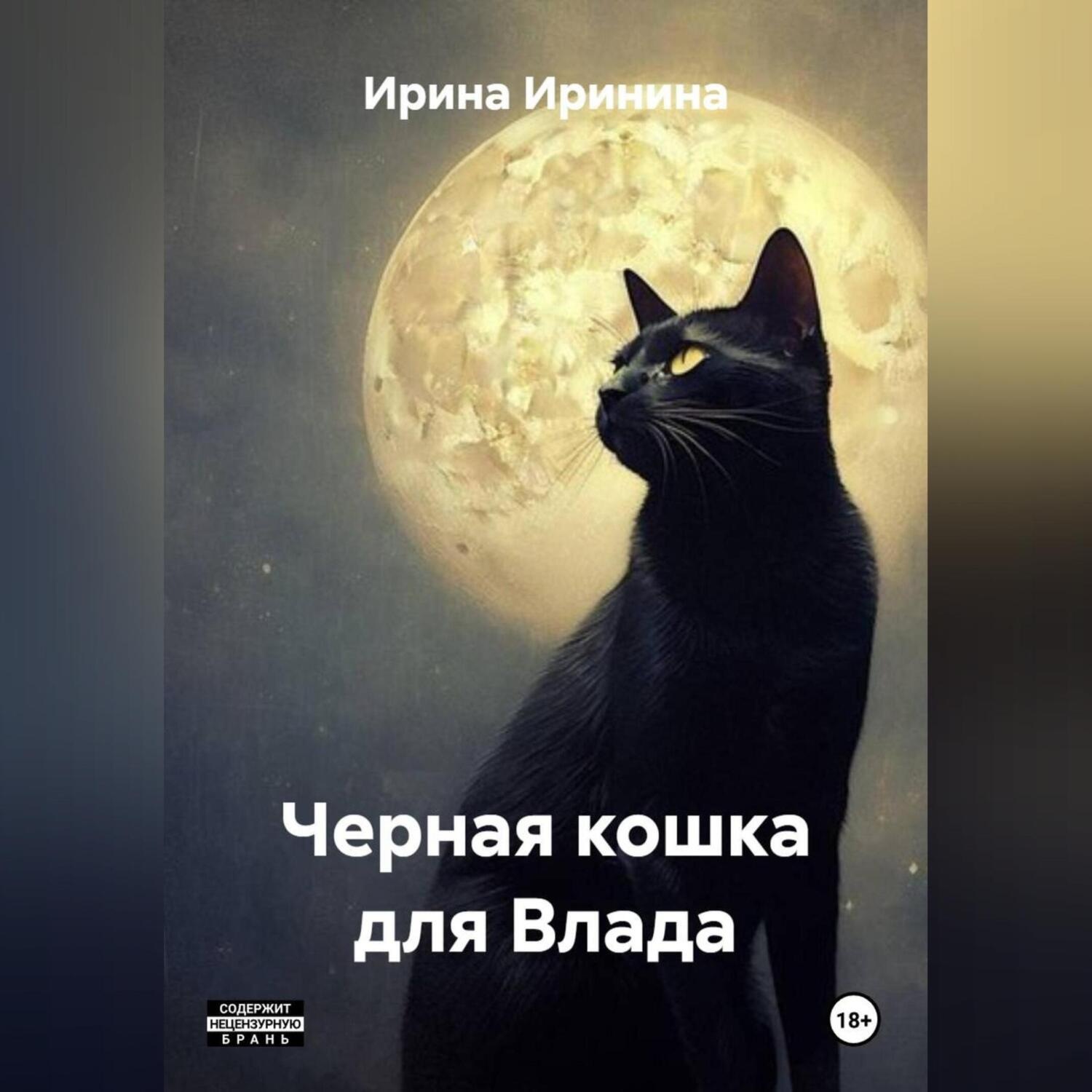 Обложка книги «Кошка для Влада»
