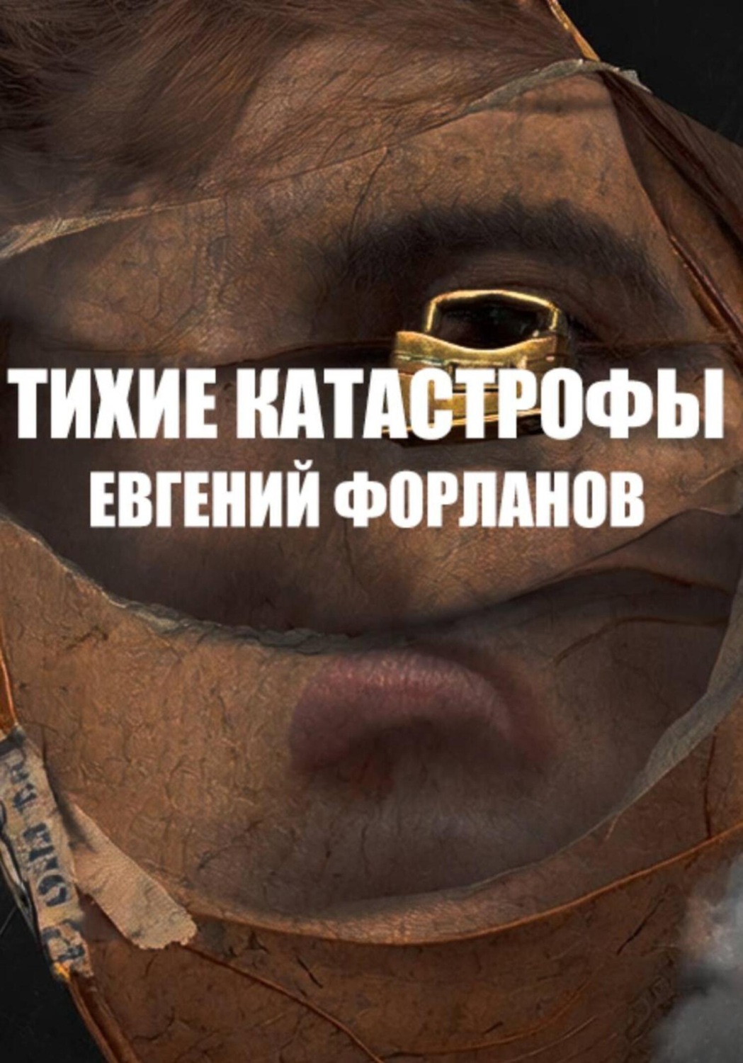 Обложка книги «Тихие катастрофы»