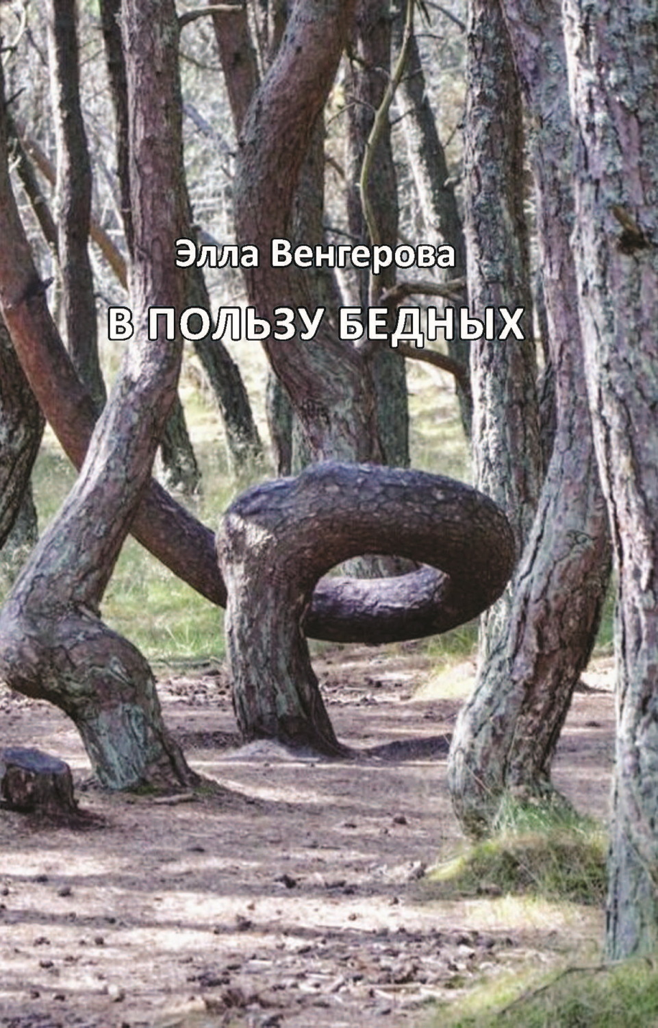 Обложка книги «В пользу бедных»