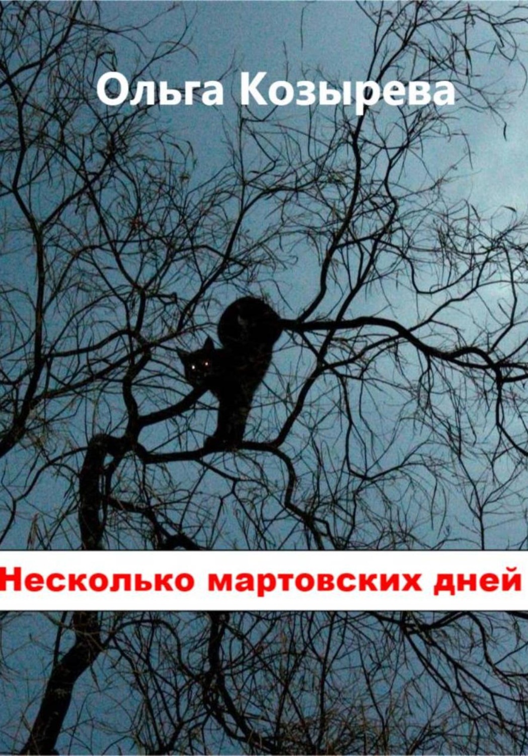 Обложка книги «Несколько мартовских дней»