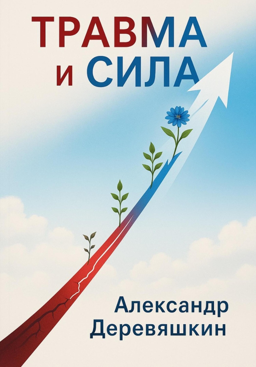 Обложка книги «Травма и сила»