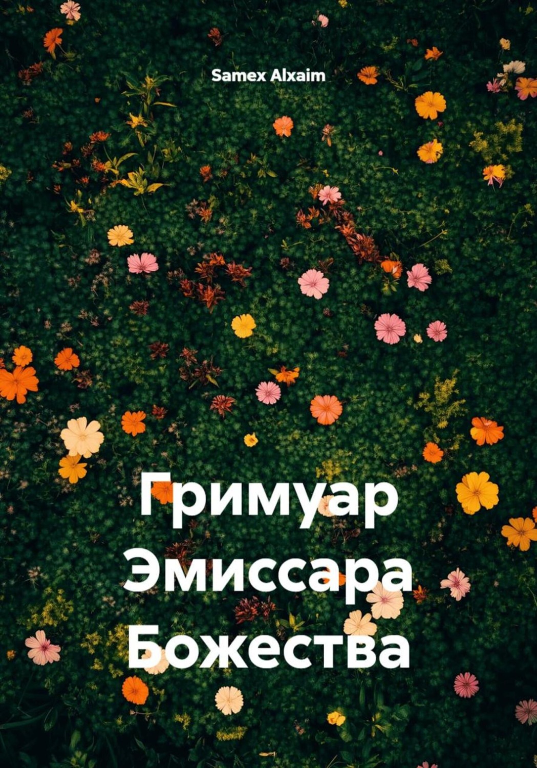 Обложка книги «Гримуар Эмиссара Божества»