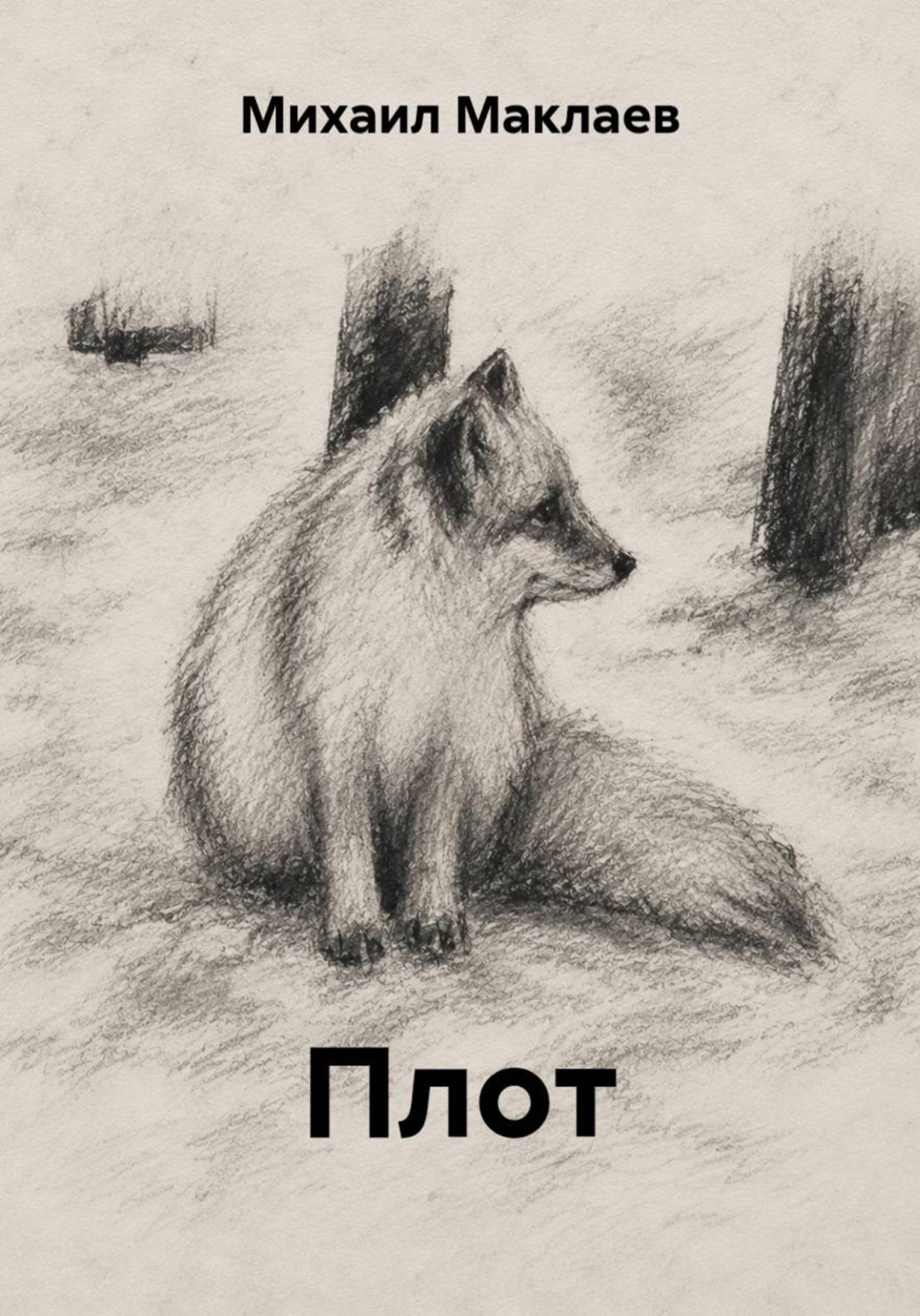 Обложка книги «Плот»