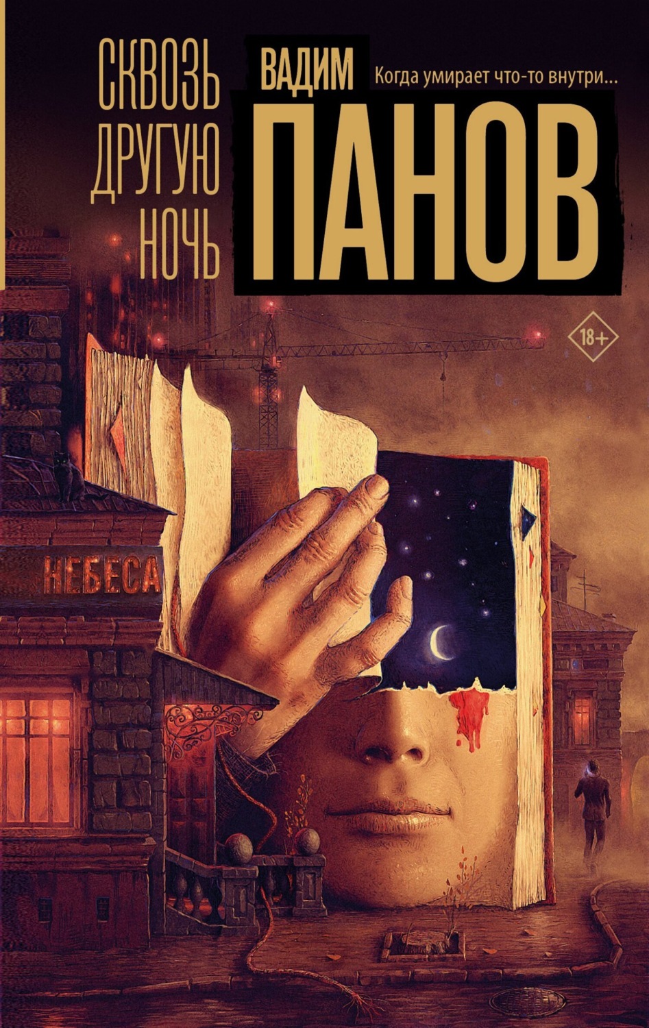 Обложка книги «Сквозь другую ночь»