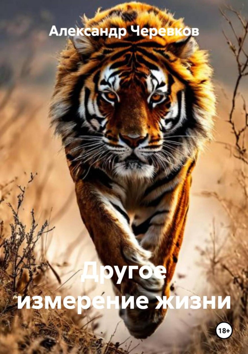 Обложка книги «Другое измерение жизни»