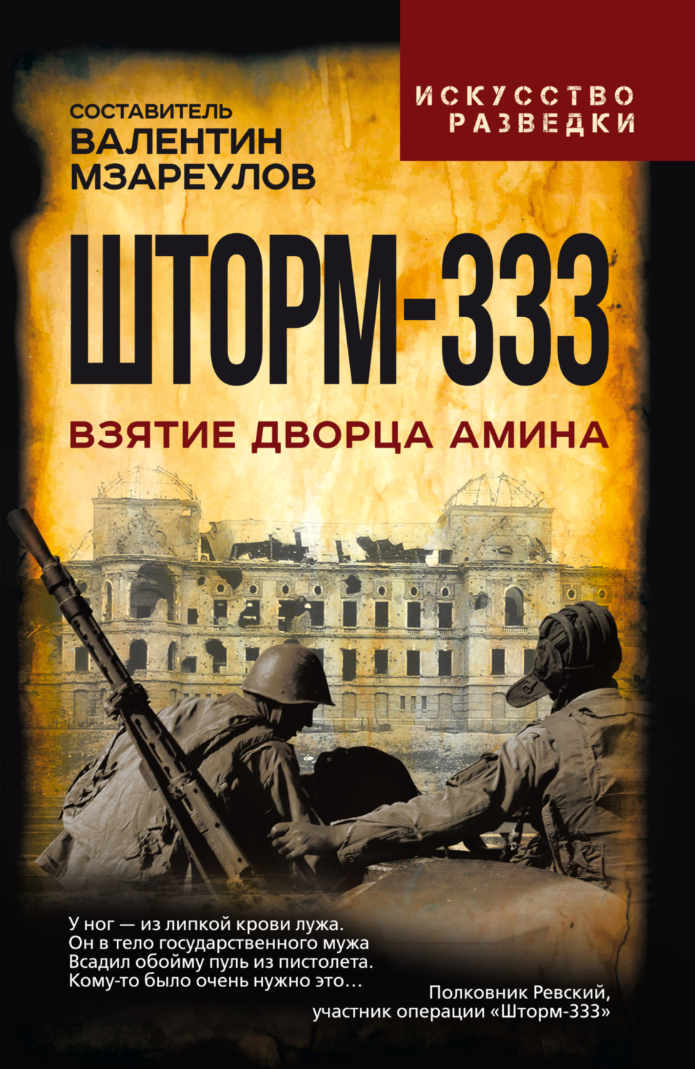 Обложка книги «Шторм-333. Взятие дворца Амина»