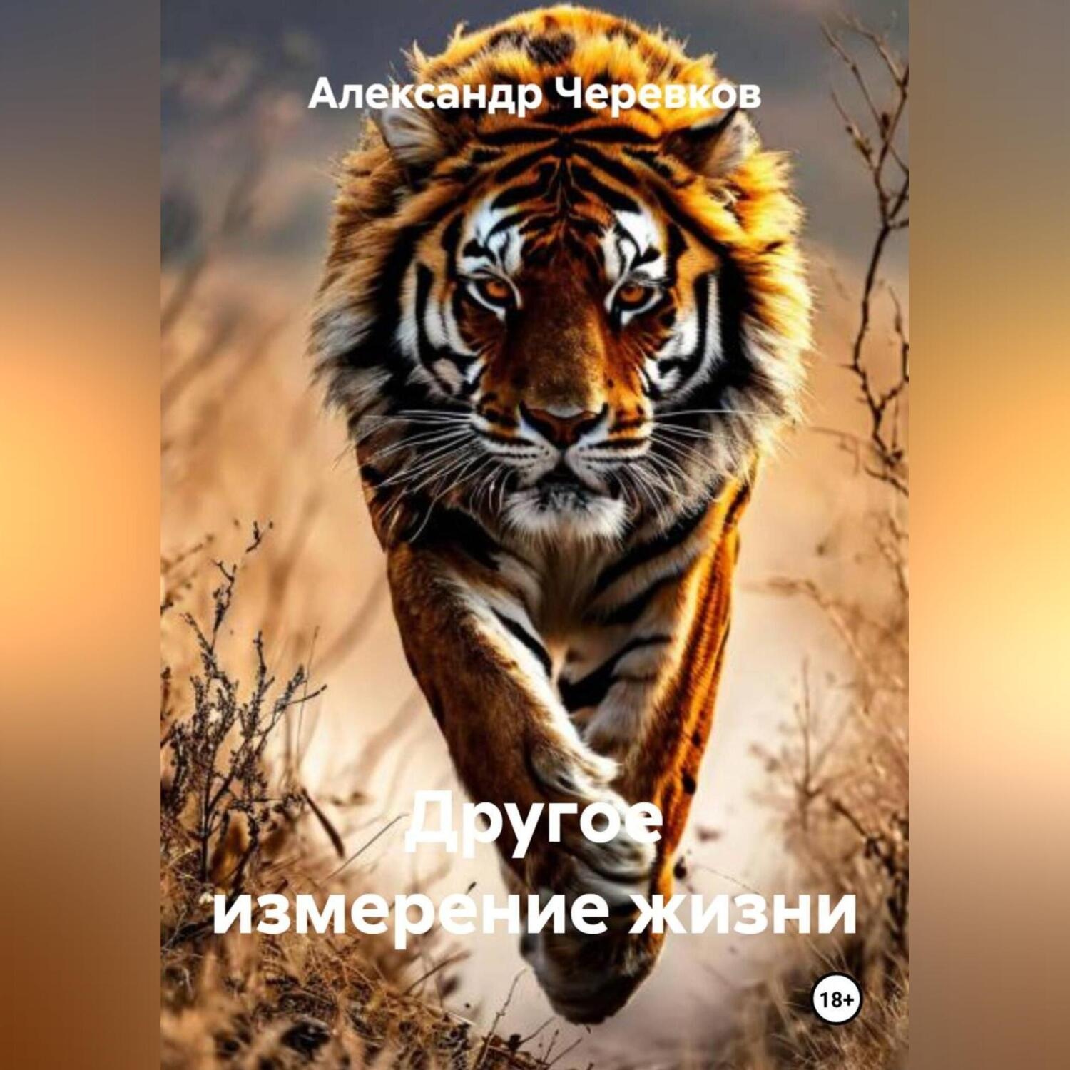 Обложка книги «Другое измерение жизни»