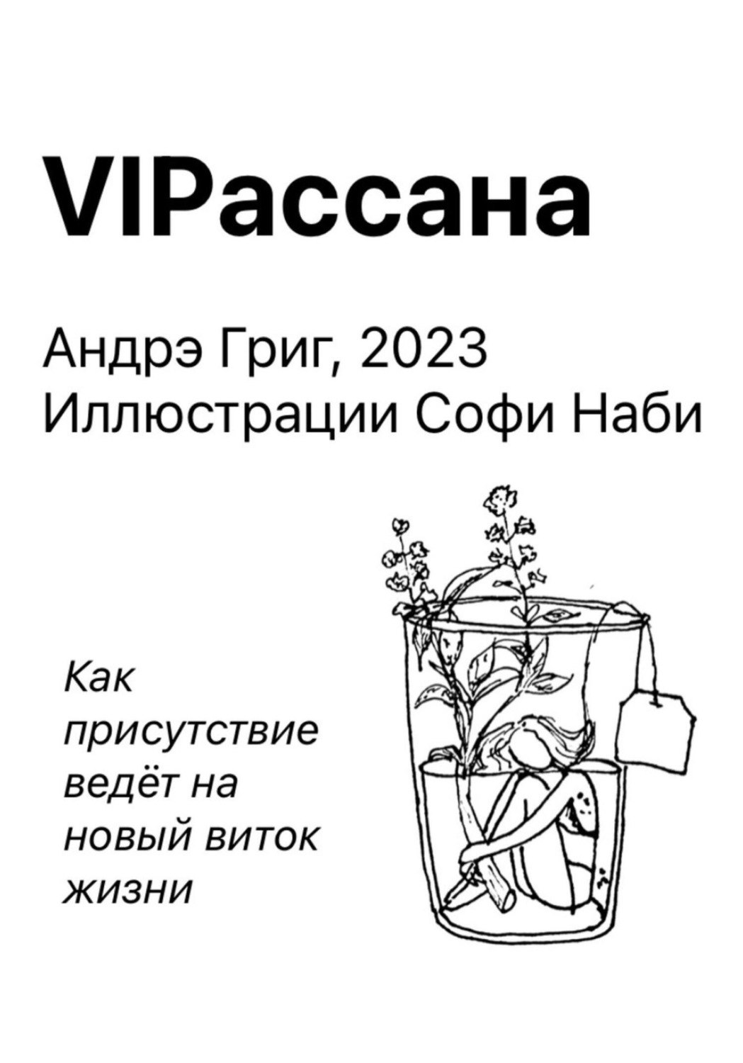 Обложка книги «VIPасана»