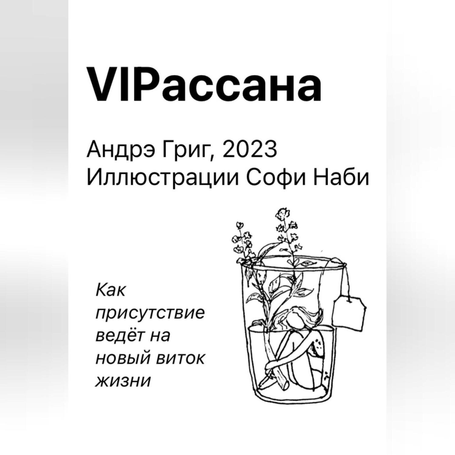 Обложка книги «VIPасана»