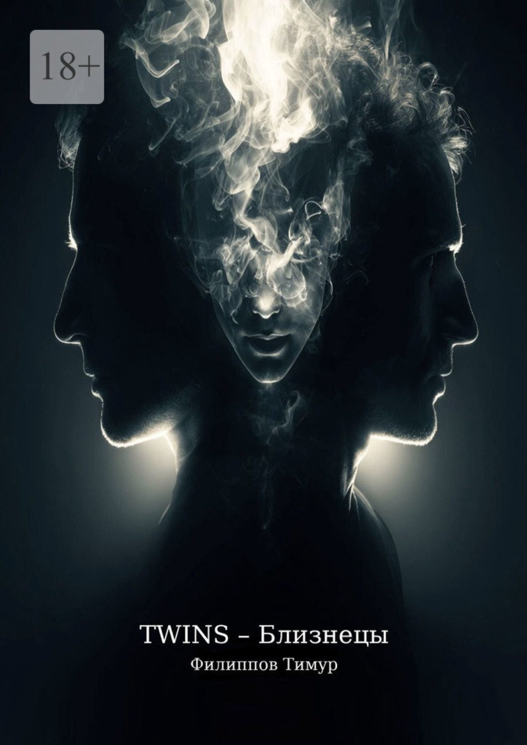 Обложка книги «Twins – Близнецы»