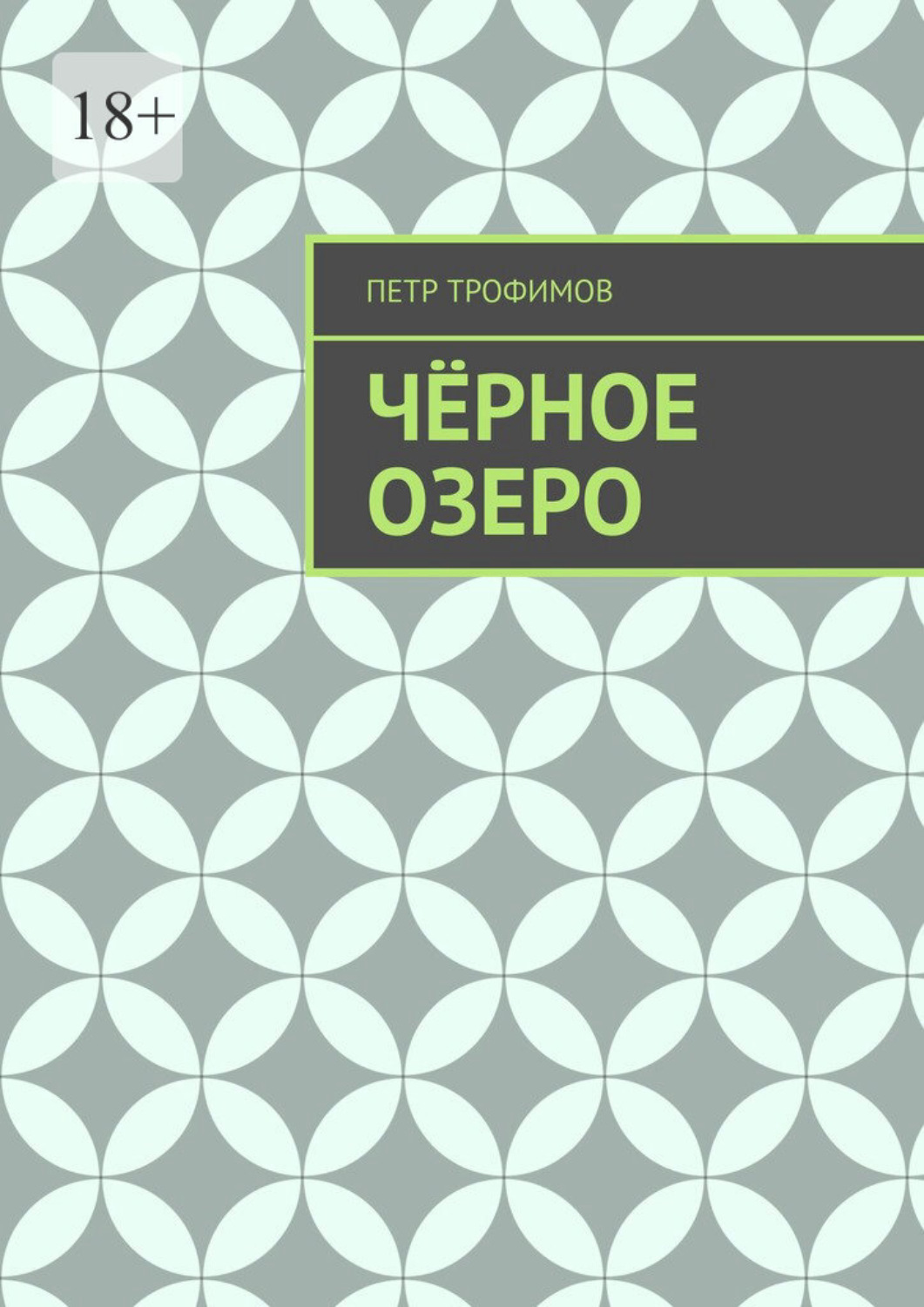 Обложка книги «Чёрное озеро»