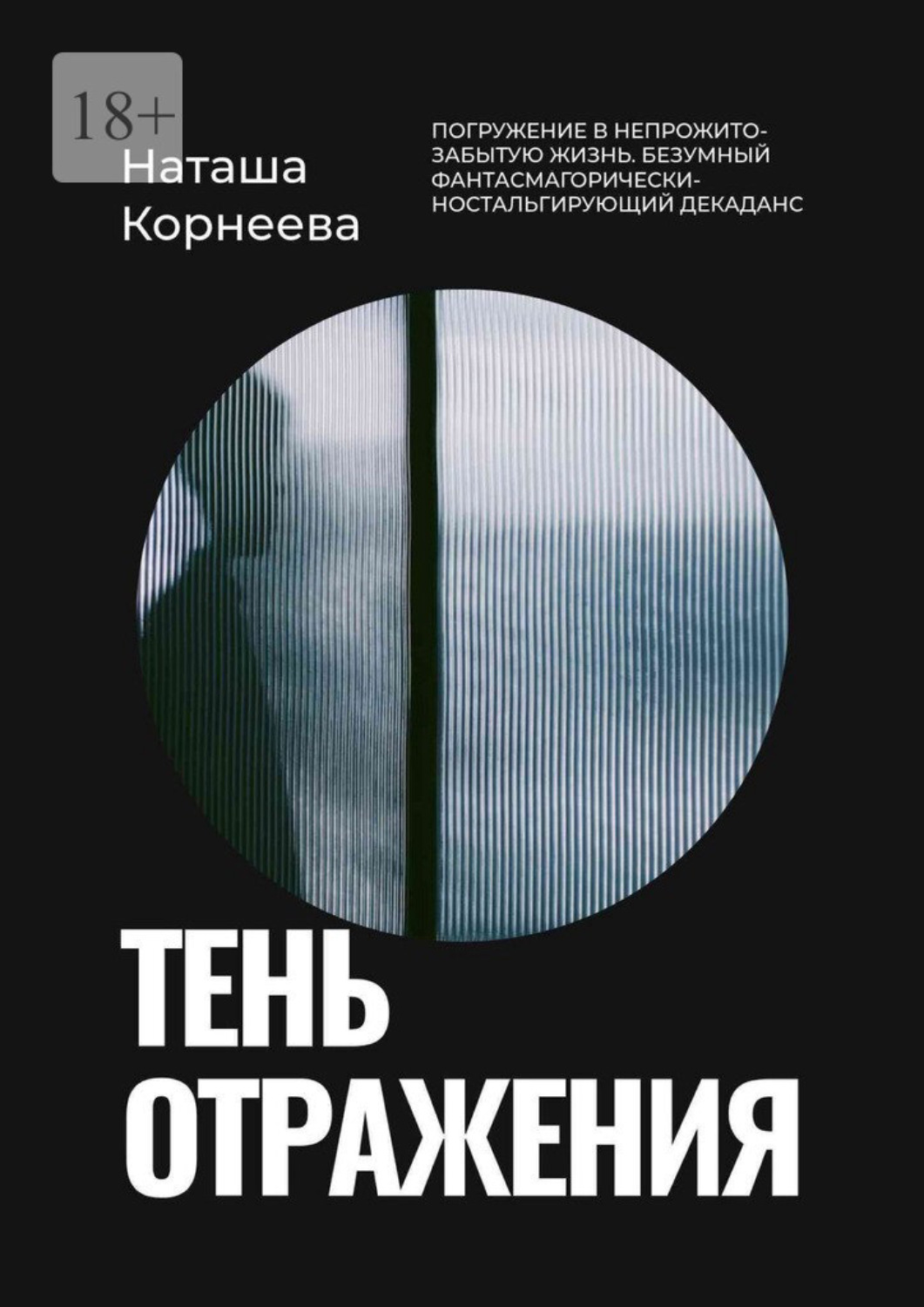 Обложка книги «Тень отражения»