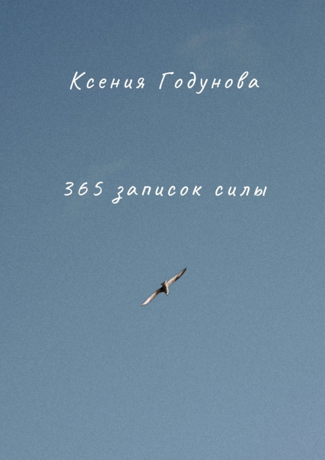 Обложка книги «365 записок силы»