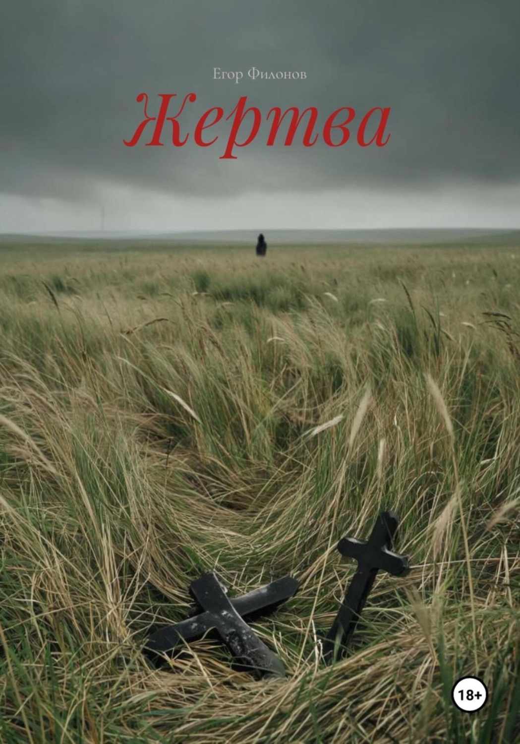 Обложка книги «Жертва»