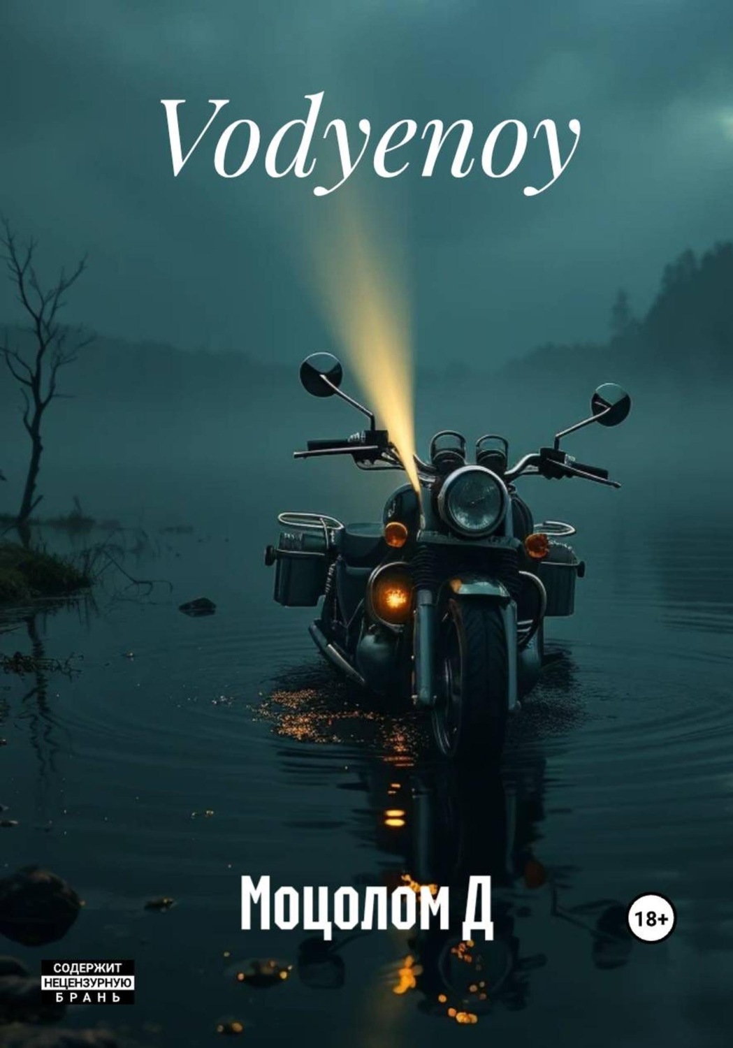 Обложка книги «Vodyenoy»