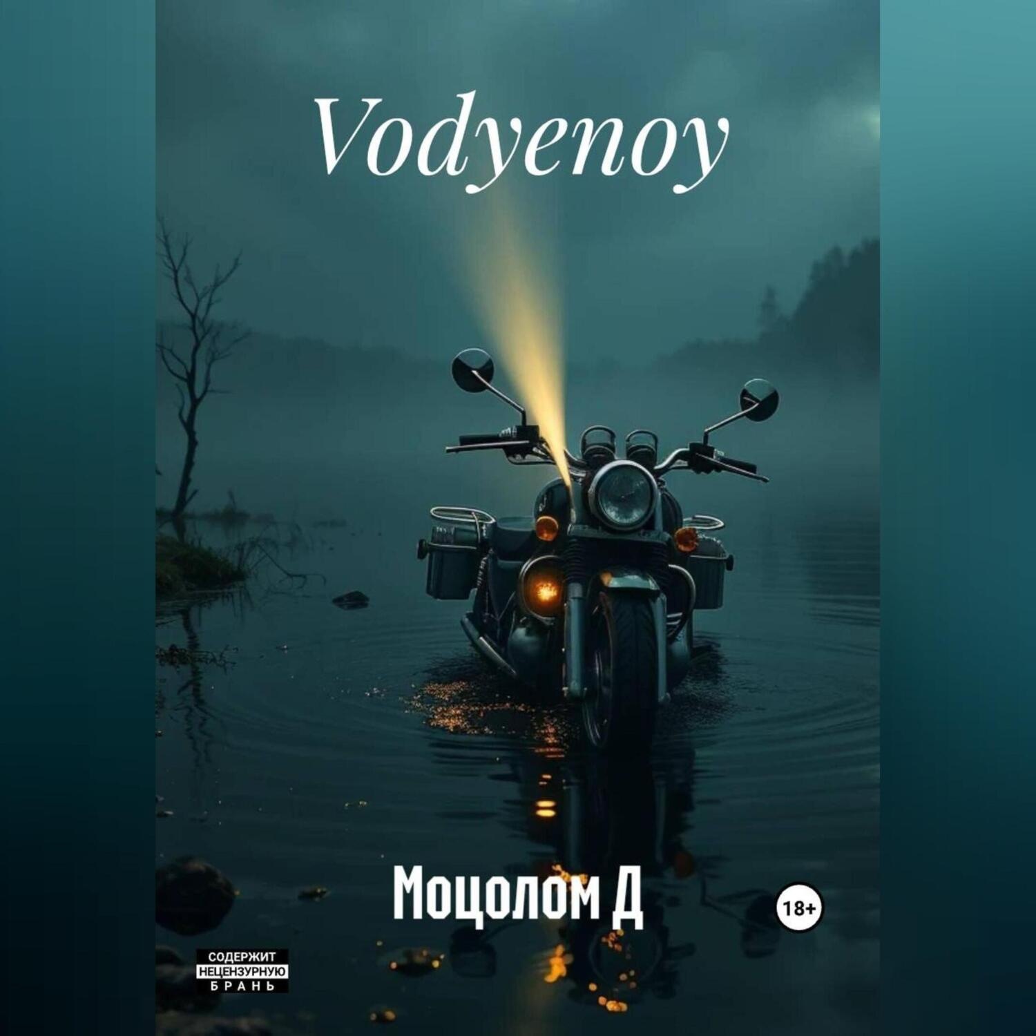 Обложка книги «Vodyenoy»