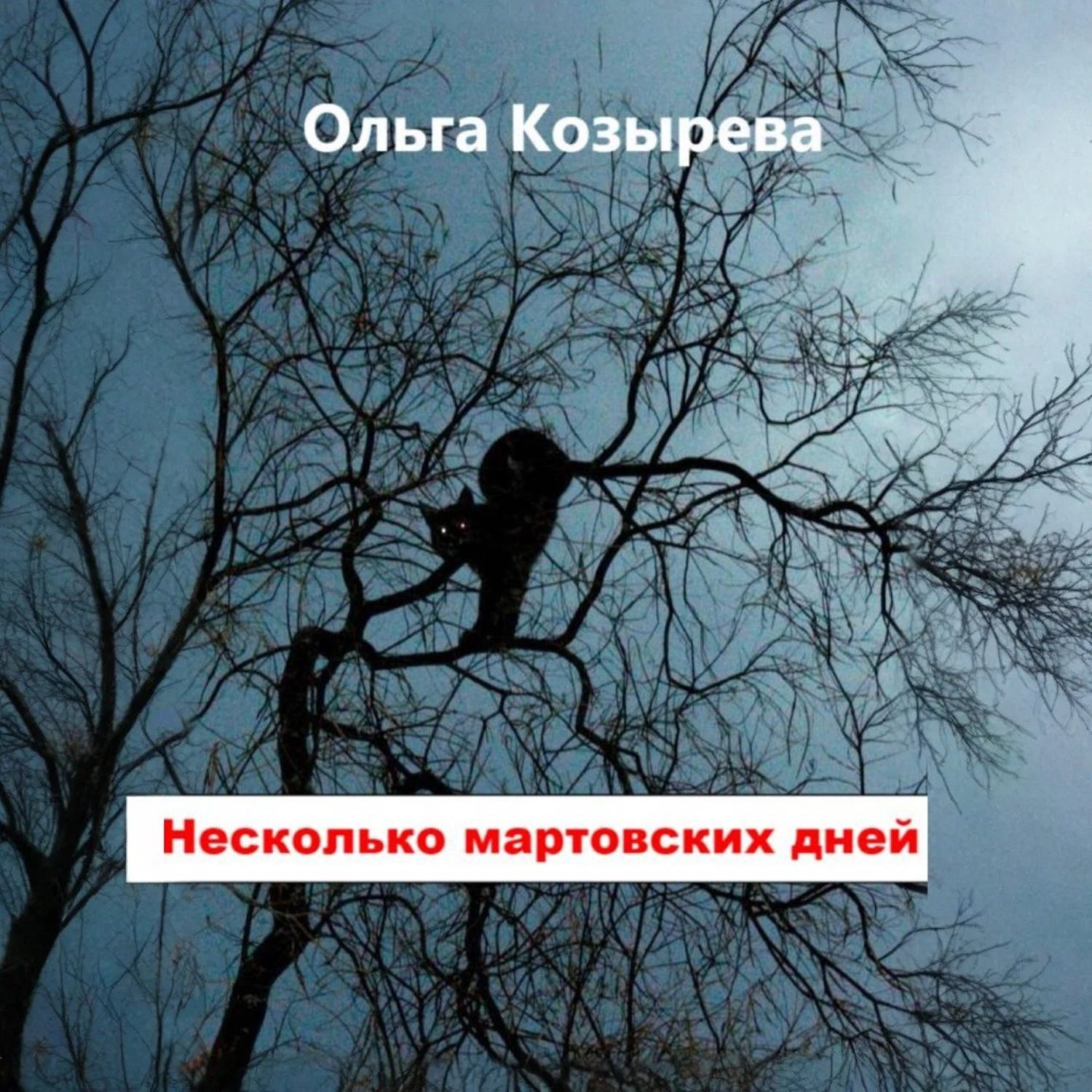 Обложка книги «Несколько мартовских дней»