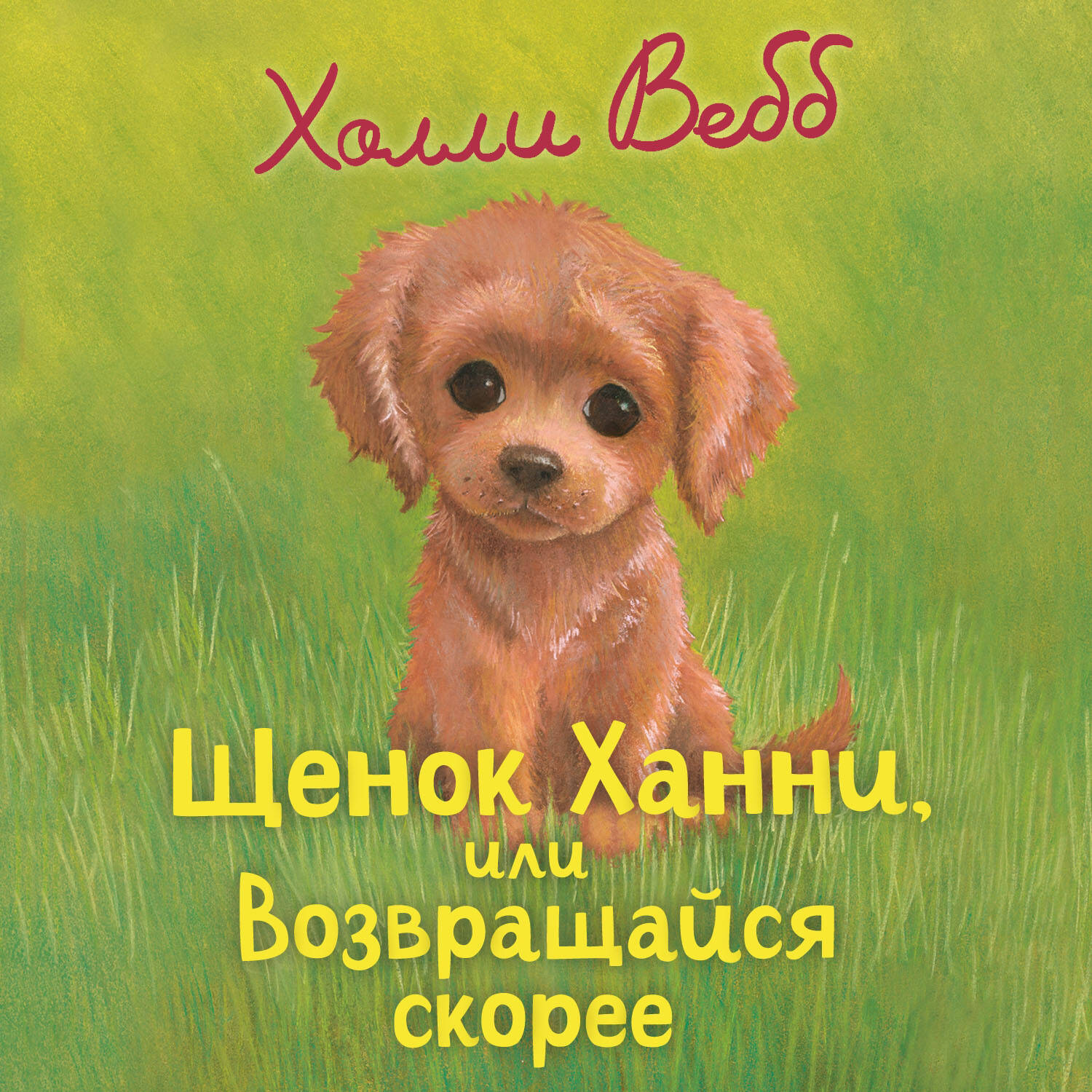 Обложка книги «Щенок Ханни, или Возвращайся скорее»