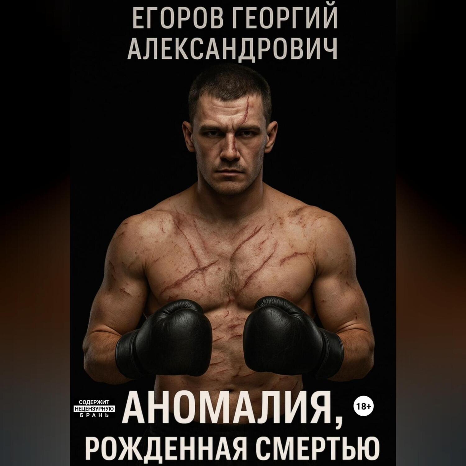 Обложка книги «Аномалия, рожденная смертью»
