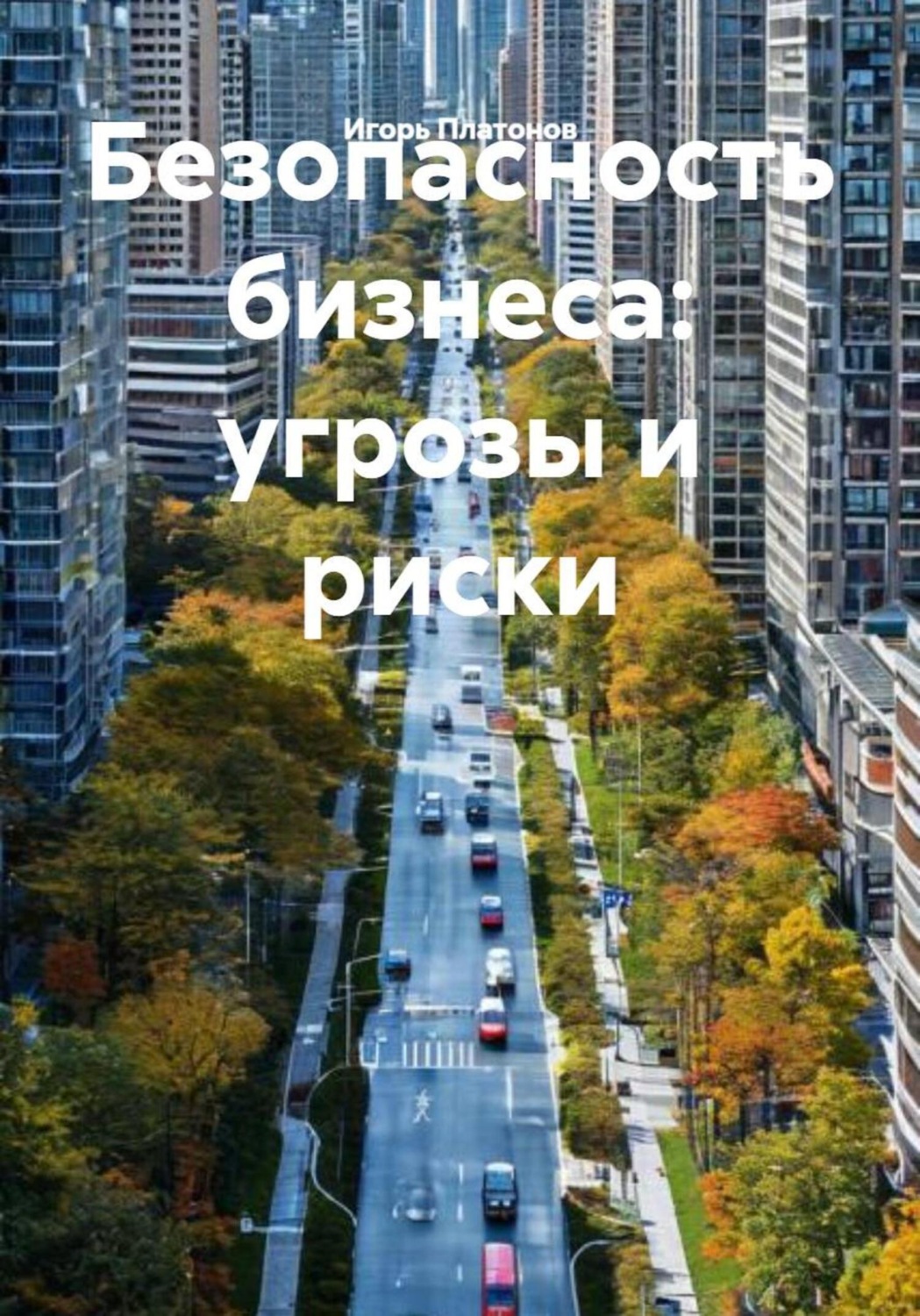 Обложка книги «Безопасность бизнеса: угрозы и риски»