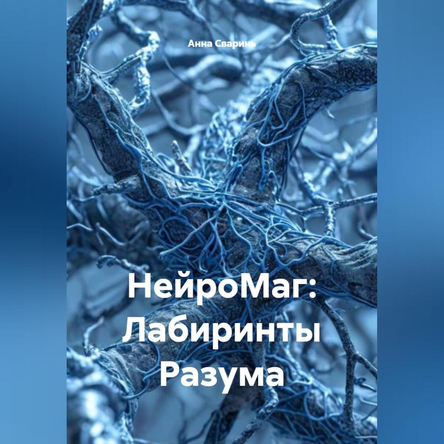Обложка книги «НейроМаг: Лабиринты Разума»