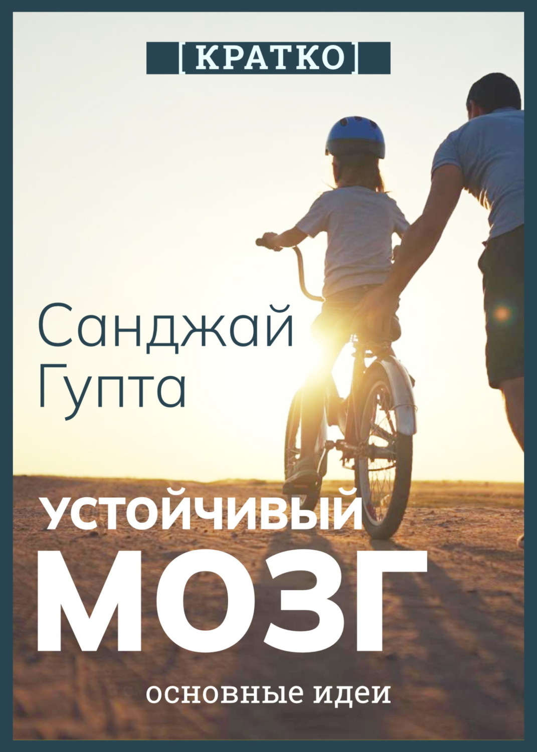 Обложка книги «Устойчивый мозг. Как сохранить мозг продуктивным в любом возрасте. Санджай Гупта. Кратко»