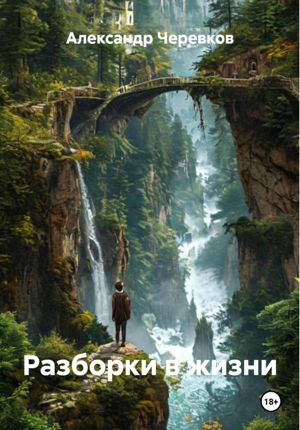 Обложка книги «Разборки в жизни»