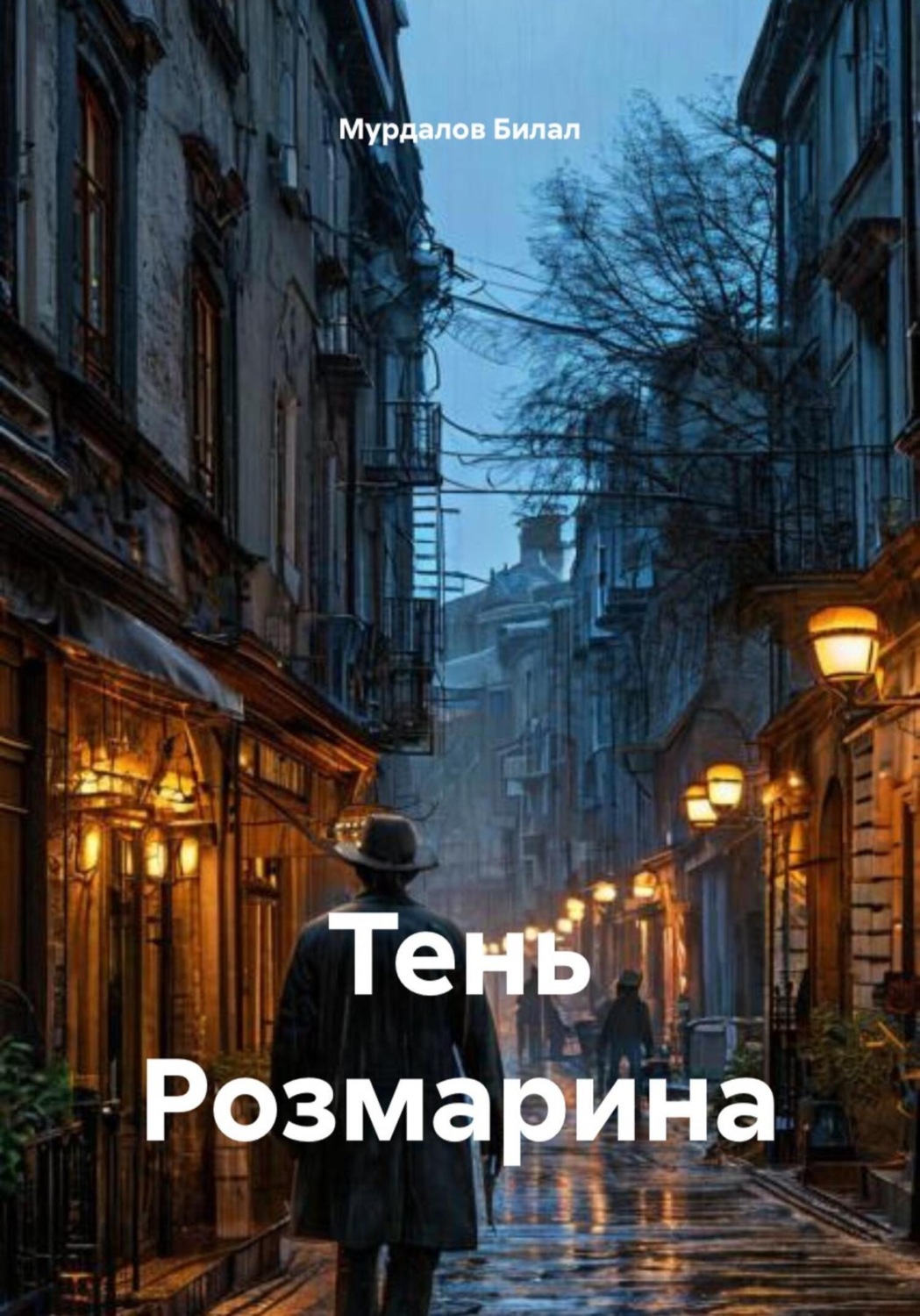 Обложка книги «Тень Розмарина»