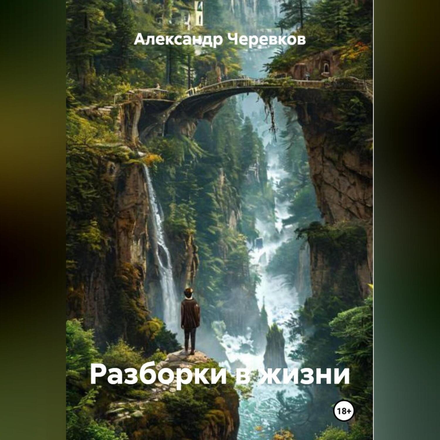 Обложка книги «Разборки в жизни»