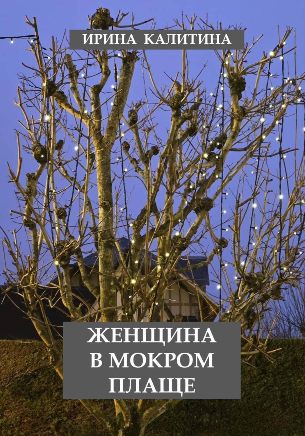 Обложка книги «Женщина в мокром плаще»