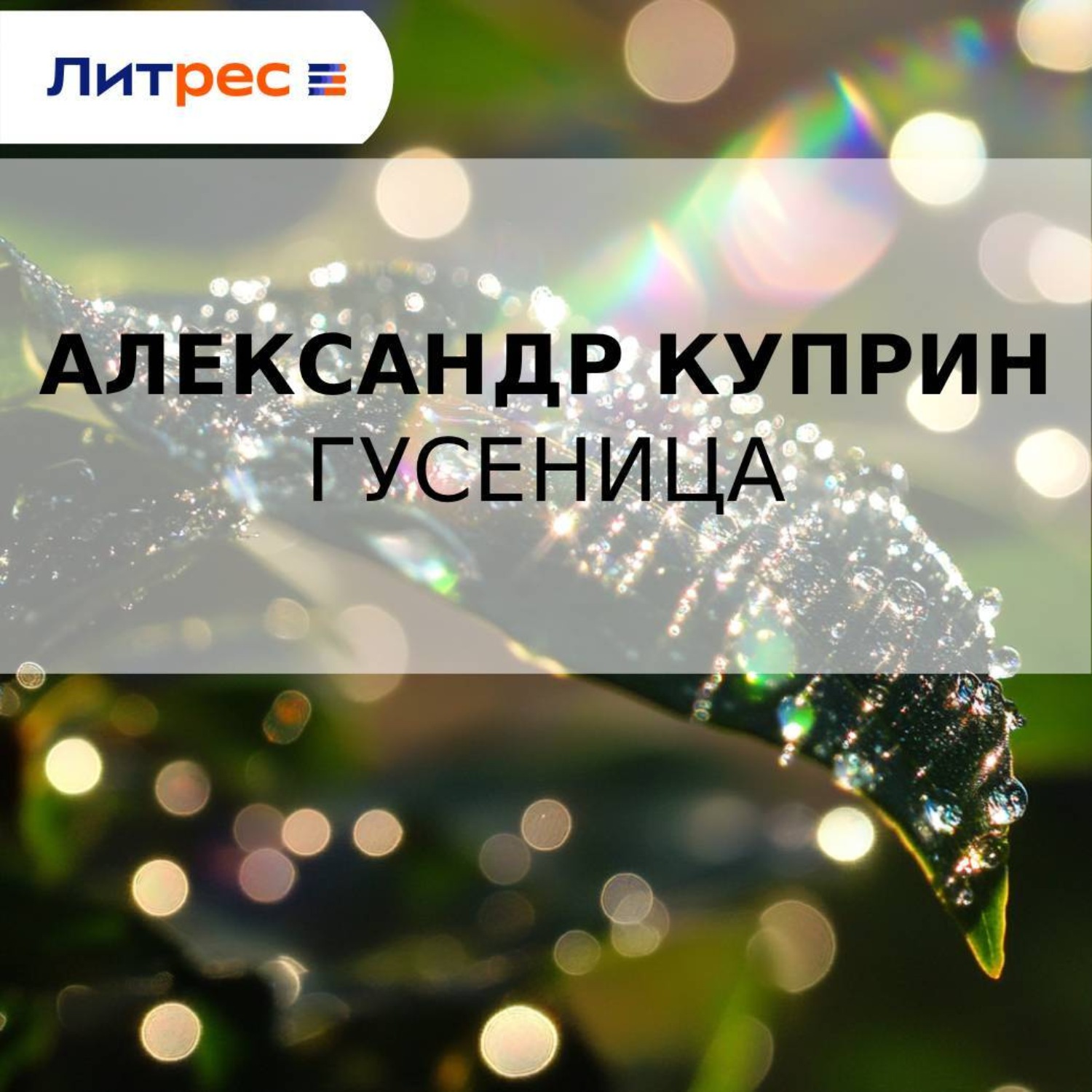 Обложка книги «Гусеница»