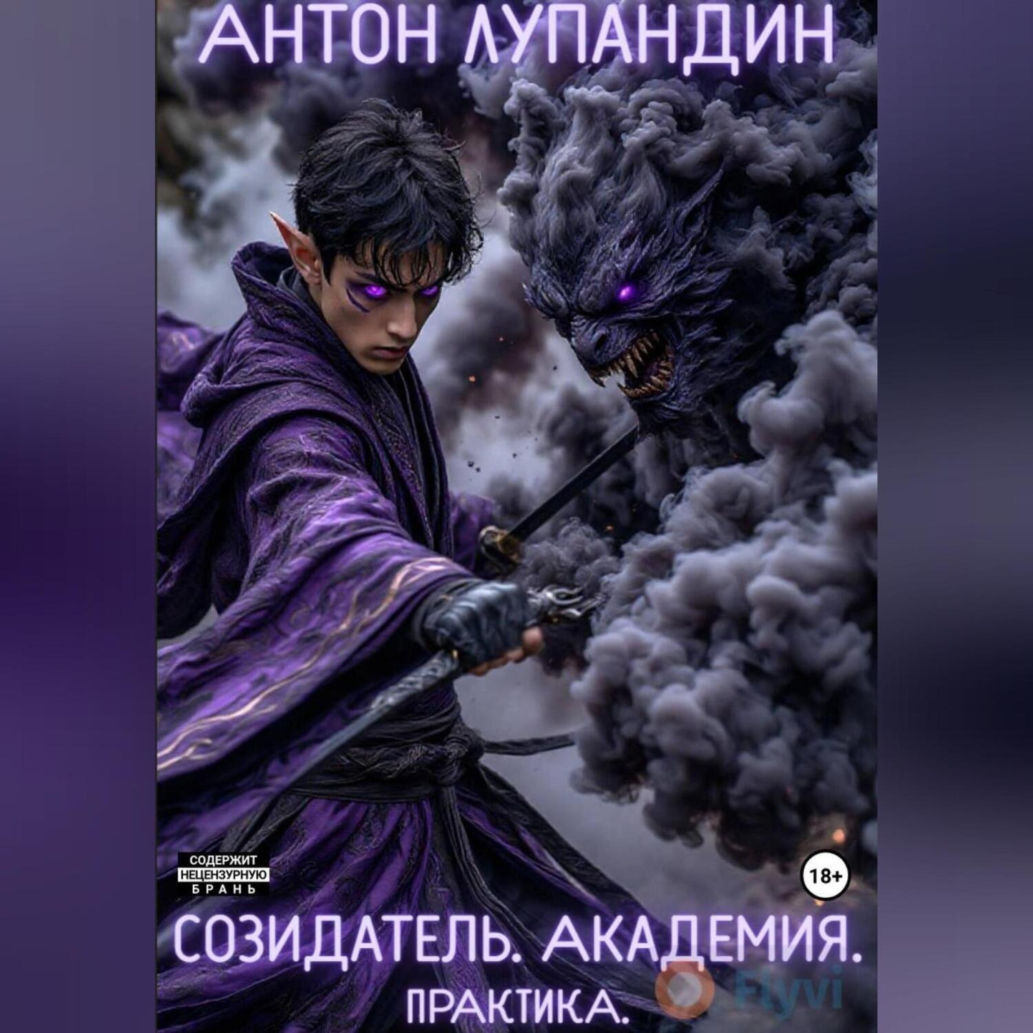 Обложка книги «Созидатель. Академия. Практика»